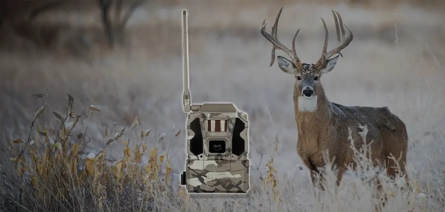 trailcameras | Whale-Tales Archery